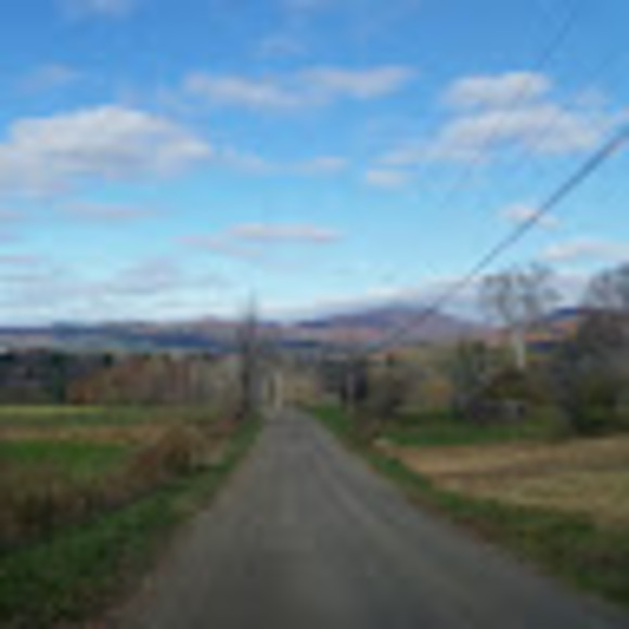 loribgross
